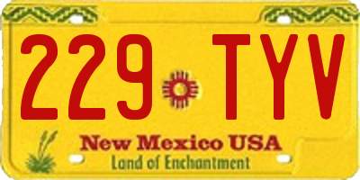 NM license plate 229TYV