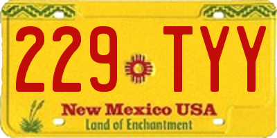 NM license plate 229TYY