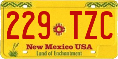 NM license plate 229TZC