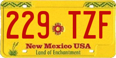 NM license plate 229TZF