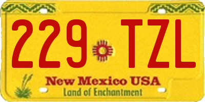 NM license plate 229TZL