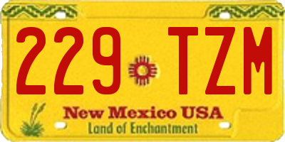 NM license plate 229TZM