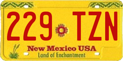NM license plate 229TZN