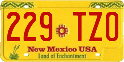 NM license plate 229TZO