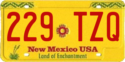 NM license plate 229TZQ