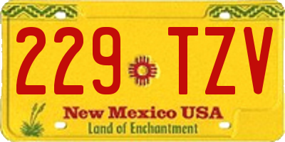 NM license plate 229TZV