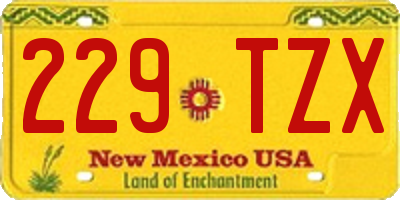 NM license plate 229TZX