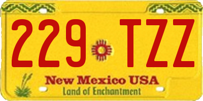 NM license plate 229TZZ