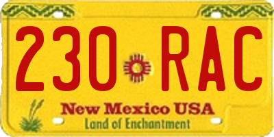 NM license plate 230RAC