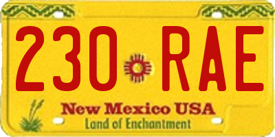 NM license plate 230RAE