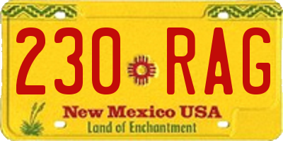 NM license plate 230RAG