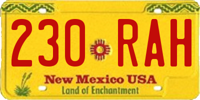 NM license plate 230RAH