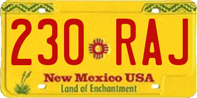 NM license plate 230RAJ