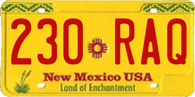NM license plate 230RAQ