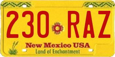 NM license plate 230RAZ