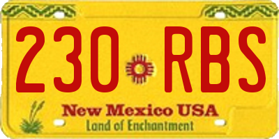 NM license plate 230RBS