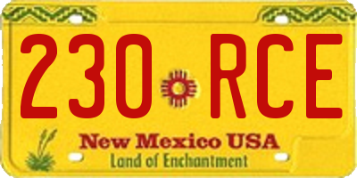 NM license plate 230RCE