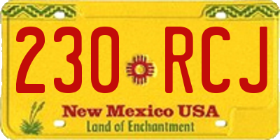 NM license plate 230RCJ