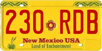 NM license plate 230RDB