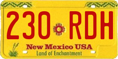 NM license plate 230RDH