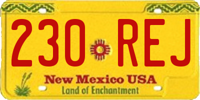 NM license plate 230REJ