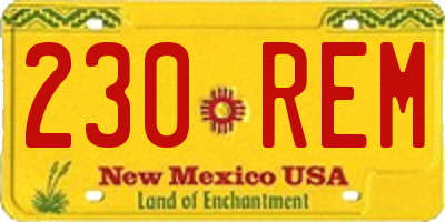 NM license plate 230REM