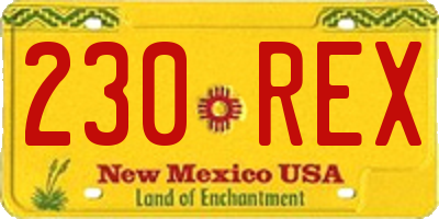 NM license plate 230REX