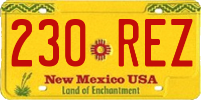 NM license plate 230REZ