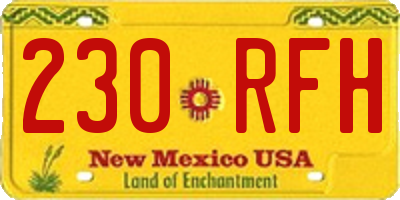 NM license plate 230RFH