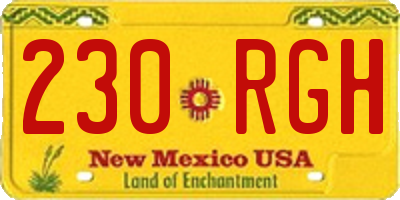 NM license plate 230RGH