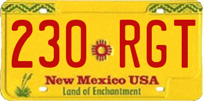 NM license plate 230RGT