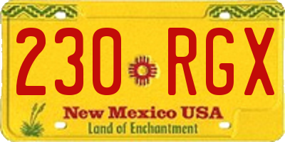 NM license plate 230RGX
