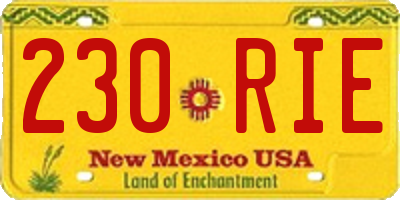 NM license plate 230RIE