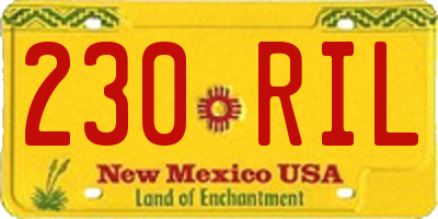 NM license plate 230RIL