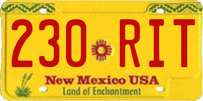 NM license plate 230RIT