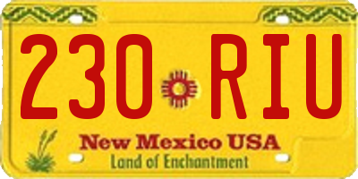 NM license plate 230RIU