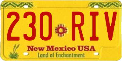 NM license plate 230RIV