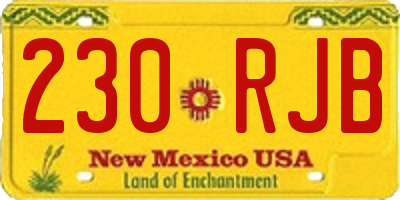 NM license plate 230RJB