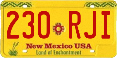 NM license plate 230RJI