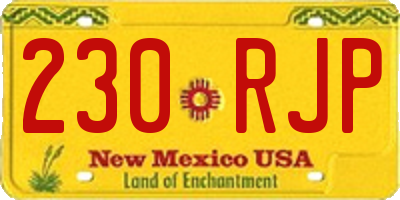 NM license plate 230RJP