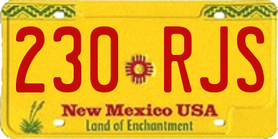 NM license plate 230RJS