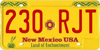 NM license plate 230RJT