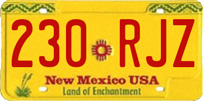 NM license plate 230RJZ