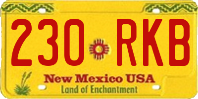 NM license plate 230RKB