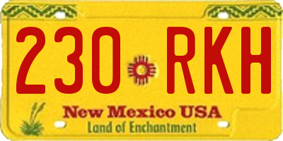 NM license plate 230RKH