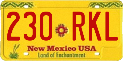 NM license plate 230RKL