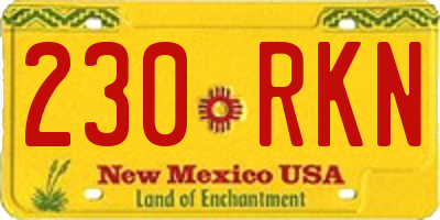 NM license plate 230RKN
