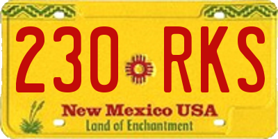 NM license plate 230RKS