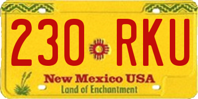 NM license plate 230RKU