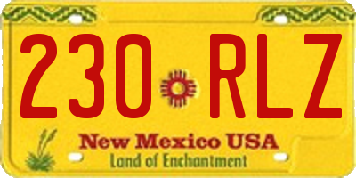 NM license plate 230RLZ